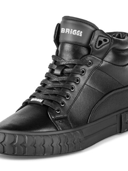 Ботинки BRIGGS