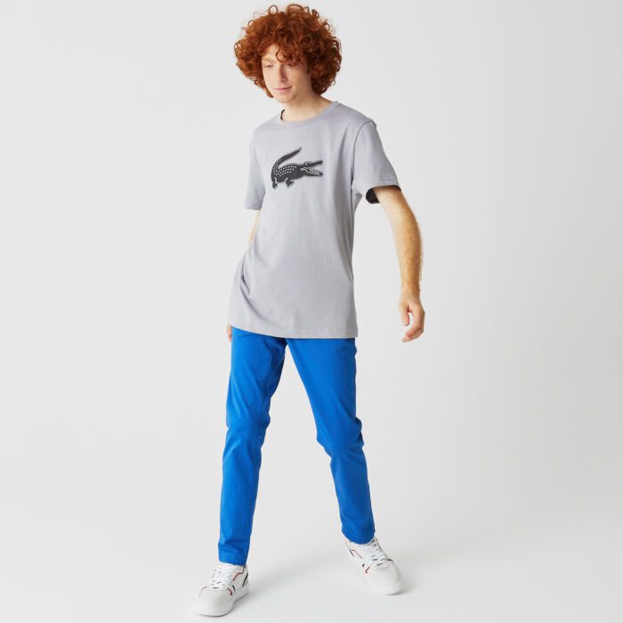 Мужская футболка Lacoste с принтом Regular Fit