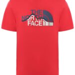 Футболка THE NORTH FACE