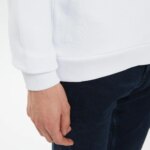 Мужская хлопковая толстовка Lacoste Regular Fit