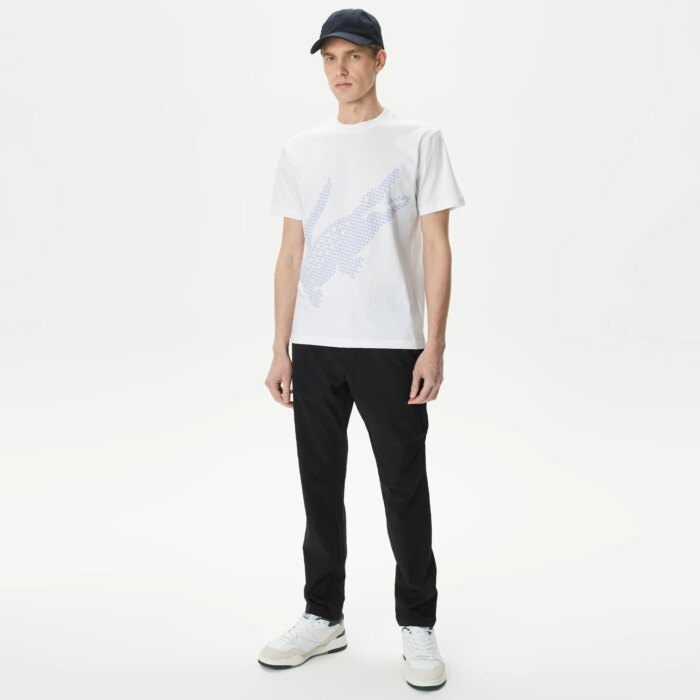 Мужские брюки Lacoste