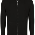 Толстовка REPLAY